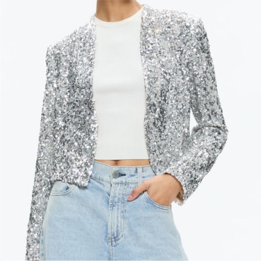 Alice + Olivia Silver Sequin Blazer